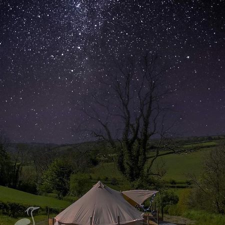 Herons Retreat Hotell Llandysul Eksteriør bilde